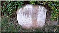 Boundary stone in roadside hedge at road junction at Bankdale Farm