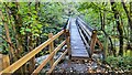 NY9038 : Footbridge over Middlehope Burn in Slit Woods by Clive Nicholson