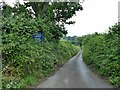 SX9578 : The south end of Branscombe Lane by Stephen Craven
