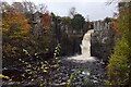 NY8828 : High Force on the River Tees by Mike Pennington