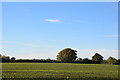 Looking west from Breach Lane