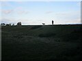 Setting out along the flood bank