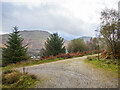 NN2905 : Forestry road junction above Arrochar by Patrick Mackie