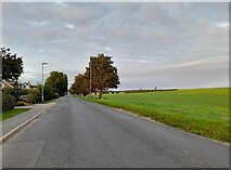 TL3856 : Long Road, Comberton by David Howard