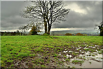 H5657 : A muddy field, Tycanny by Kenneth  Allen