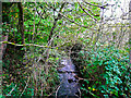 Shepley Dike looking downstream from Stretch Gate