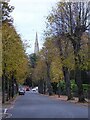 Autumn on Avenue Road