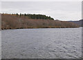 NH6332 : Loch Duntelchaig by Craig Wallace