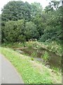 Vegetation in Monmouthshire and Brecon Canal