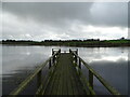 Jetty on Killyfole Lough