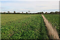 Footpath to Stalham Road