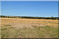 Field near Willow Barn