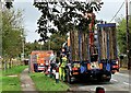 Loading an excavator onto a truck, Udimore Road, Broad Oak Brede