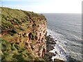 NX9413 : St. Bees Head by Adrian Taylor