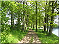 River Tay path