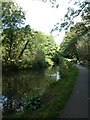 Walker by Monmouthshire and Brecon Canal in Pontnewydd