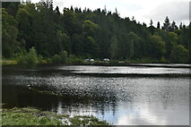 NN9159 : Loch Faskally by N Chadwick