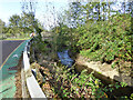 Gatwick Stream by path to South Terminal