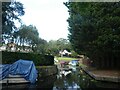 Boats moored on Monmouthshire and Brecon Canal 