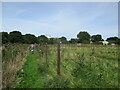 Footpath  to  Seats  Hill