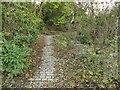 Path up to Calder Road