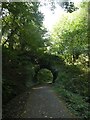 Farm bridge over NCN492 (old railway track)