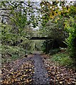 Bridge crossing the Severn Way at Coalford