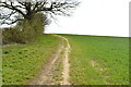 Footpath up a gentle hill