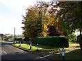 Autumn colour on the approach to Lambley