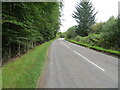NC5607 : Tree-lined road (A836) heading northward from Lairg by Peter Wood