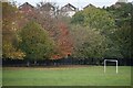 Autumn in the trees at Kings Meadow