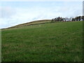 Hillside grazing above the A6088