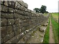 NY6266 : Hadrian's Wall at Willowford by Sandy Gerrard