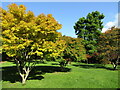 Cardiff - Roath Park - Botanical Garden