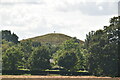 Mound, Northala Field