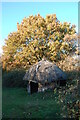 Little hut near Ellingham Lake