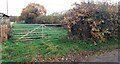 Gateway to field between houses on NE side of road at Lincote