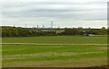 Fields and Racecourse