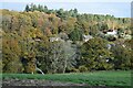 View towards Godshill Wood