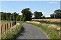 Quiet lane on Romney Marsh