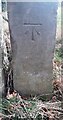 Gatepost with benchmark on west side of entrance to Tally Ho Farm