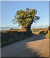 West along a minor road, Gwehelog, Monmouthshire