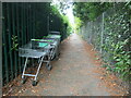 Supermarket trolleys on a footpath near Suffolk Drive