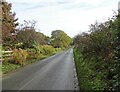 NZ0747 : Looking along Healeyfield Lane by Robert Graham