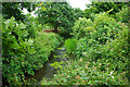 Gatwick Stream, Riverside Garden Park, Horley