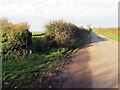 Llwybr yn gadael yr heol / Path exits the road