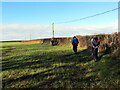 Llwybr cyhoeddus ger Blackhall/ Public footpath near Blackhall