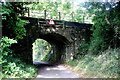 ST6620 : Railway Bridge at Milborne Wick by Nigel Mykura