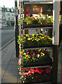 Plant stand, Torbay Road, Paignton