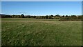 Brook Farm fields in autumn